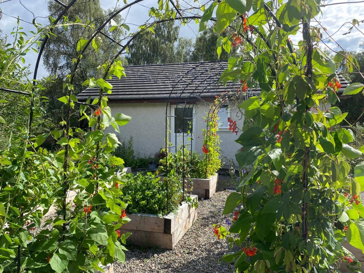 Homestead Cottage, Форт-Огастус Екстер'єр фото